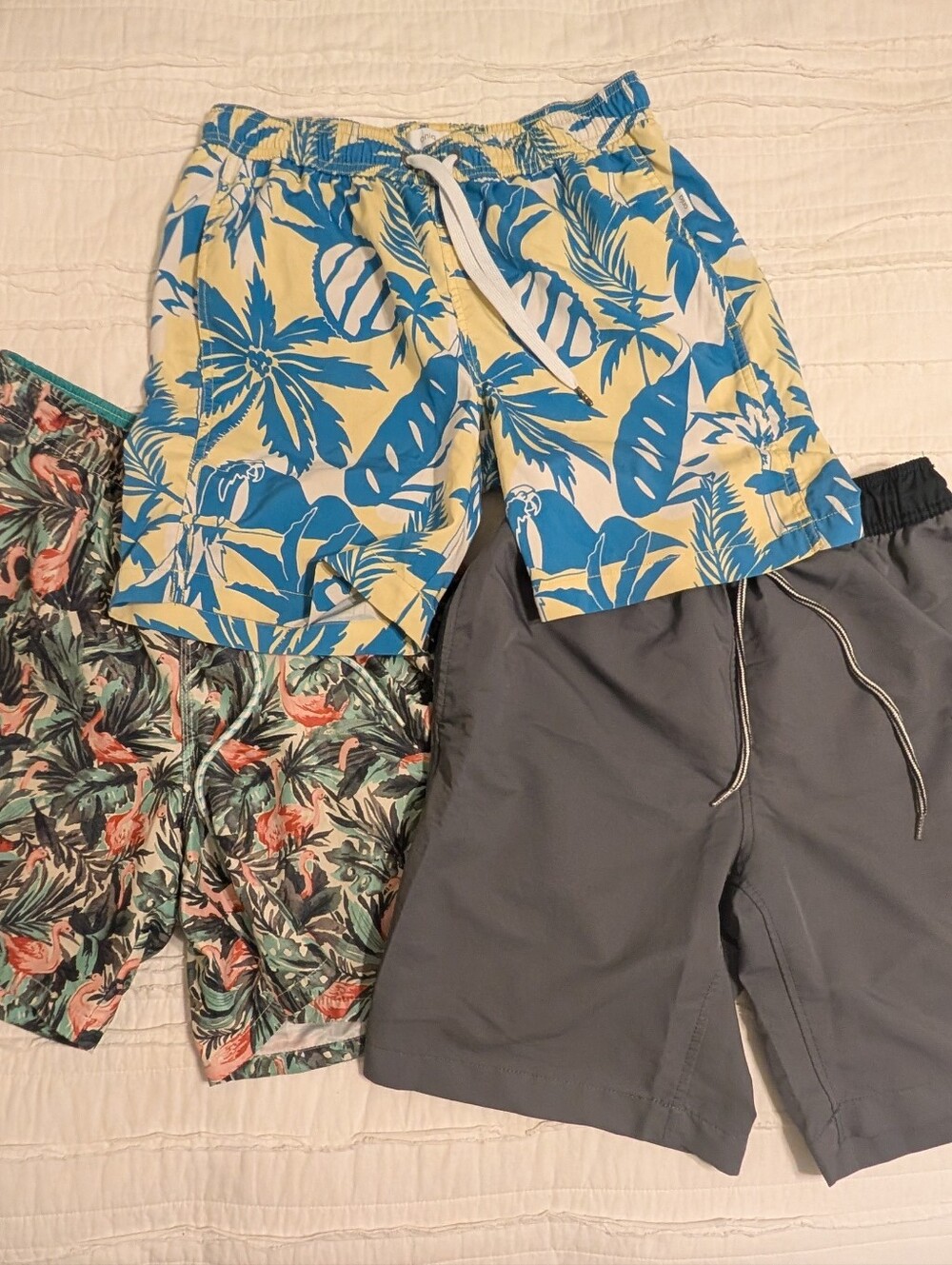 Swim Shorts (3-Pack)
